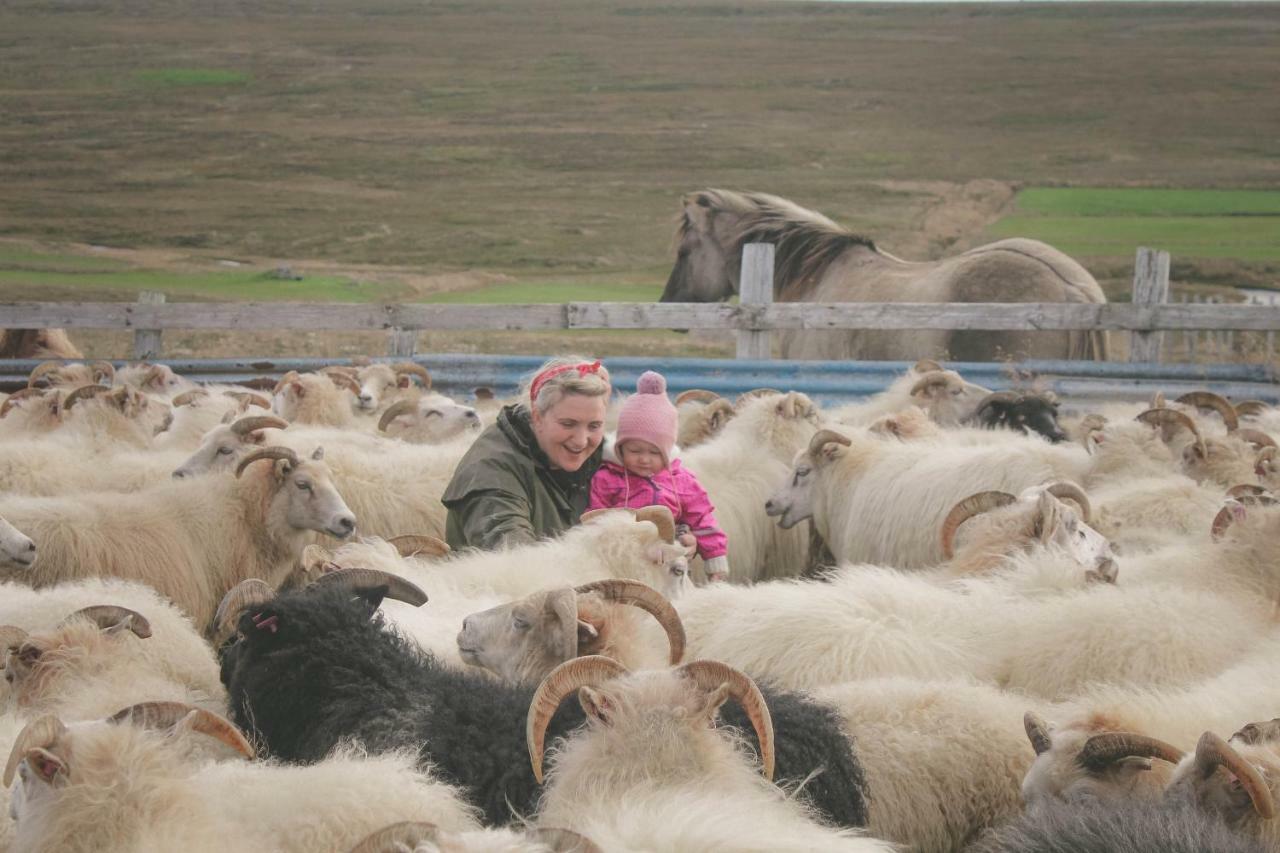 Sandur Þórshöfn エクステリア 写真